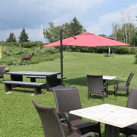 Auberge La Daina บี-แซ็ง-ปอล ภายนอก รูปภาพ